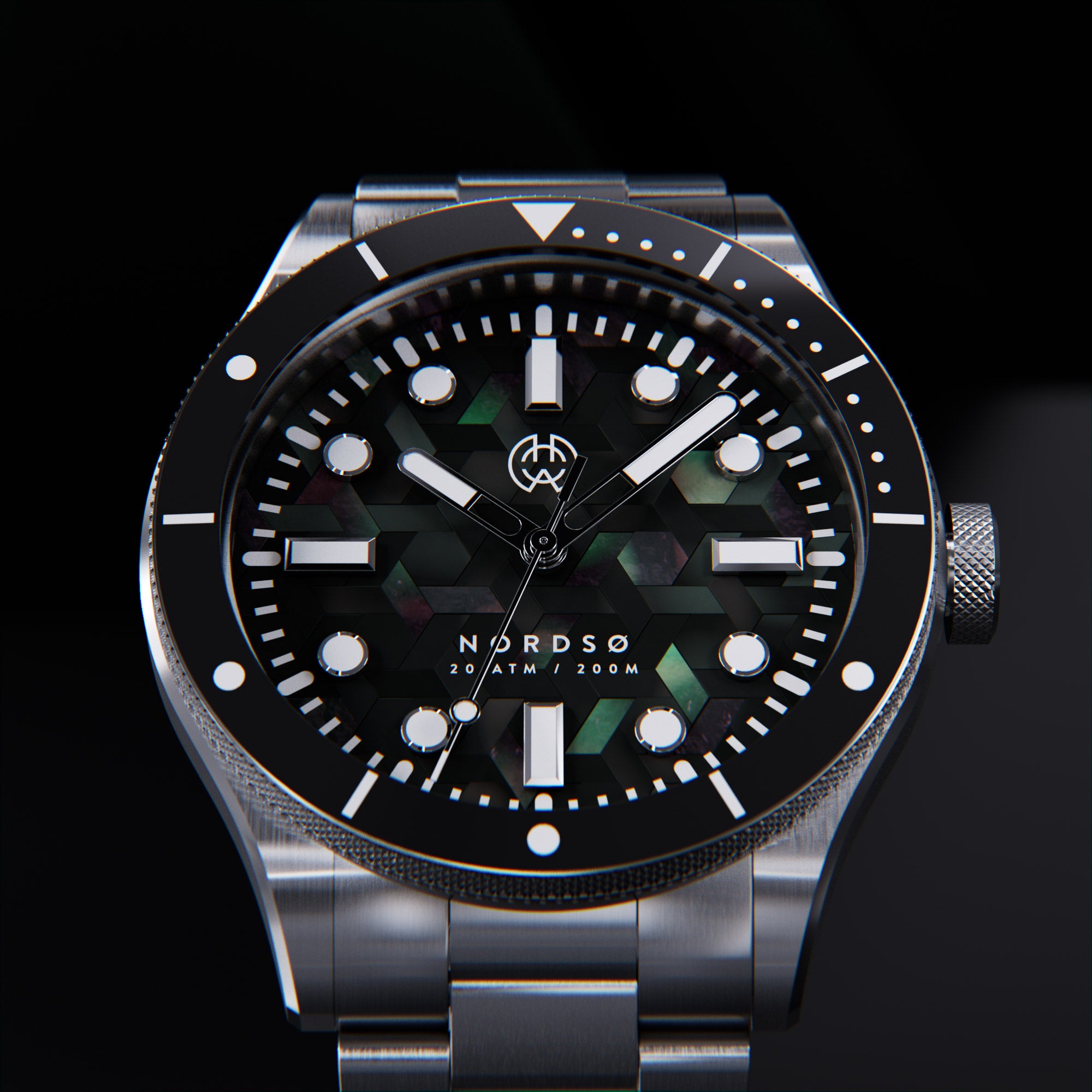 アクティニオ プテリス　オーストラリス　アクティノプテリスオーストラリス アクティニオ プテリス オーストラリス アクティノプテリス