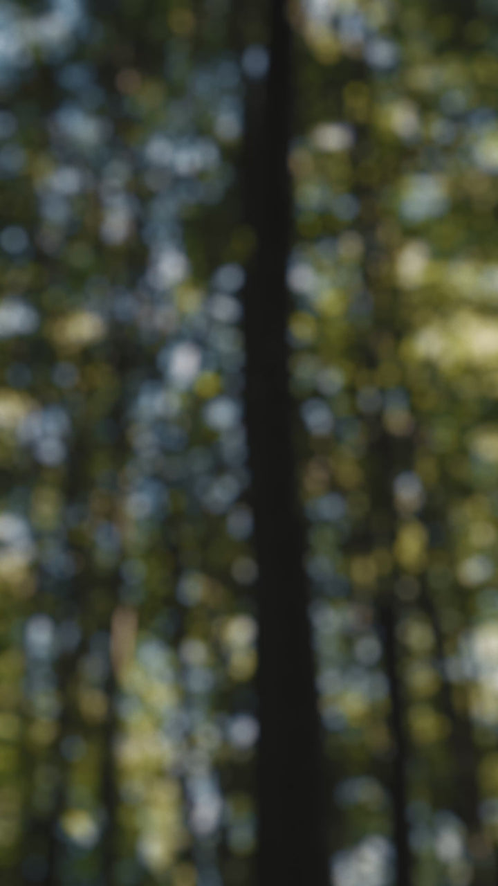 Tidevand Terra - Titan Mirage