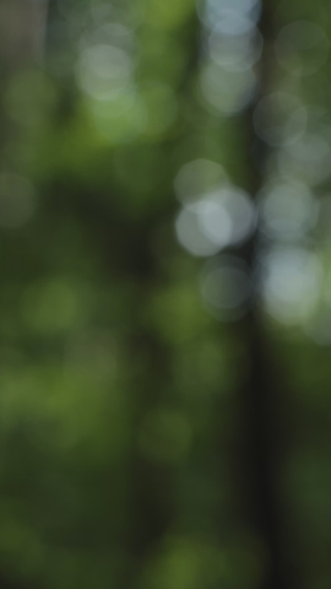 #bracelet_moon-grey-bor