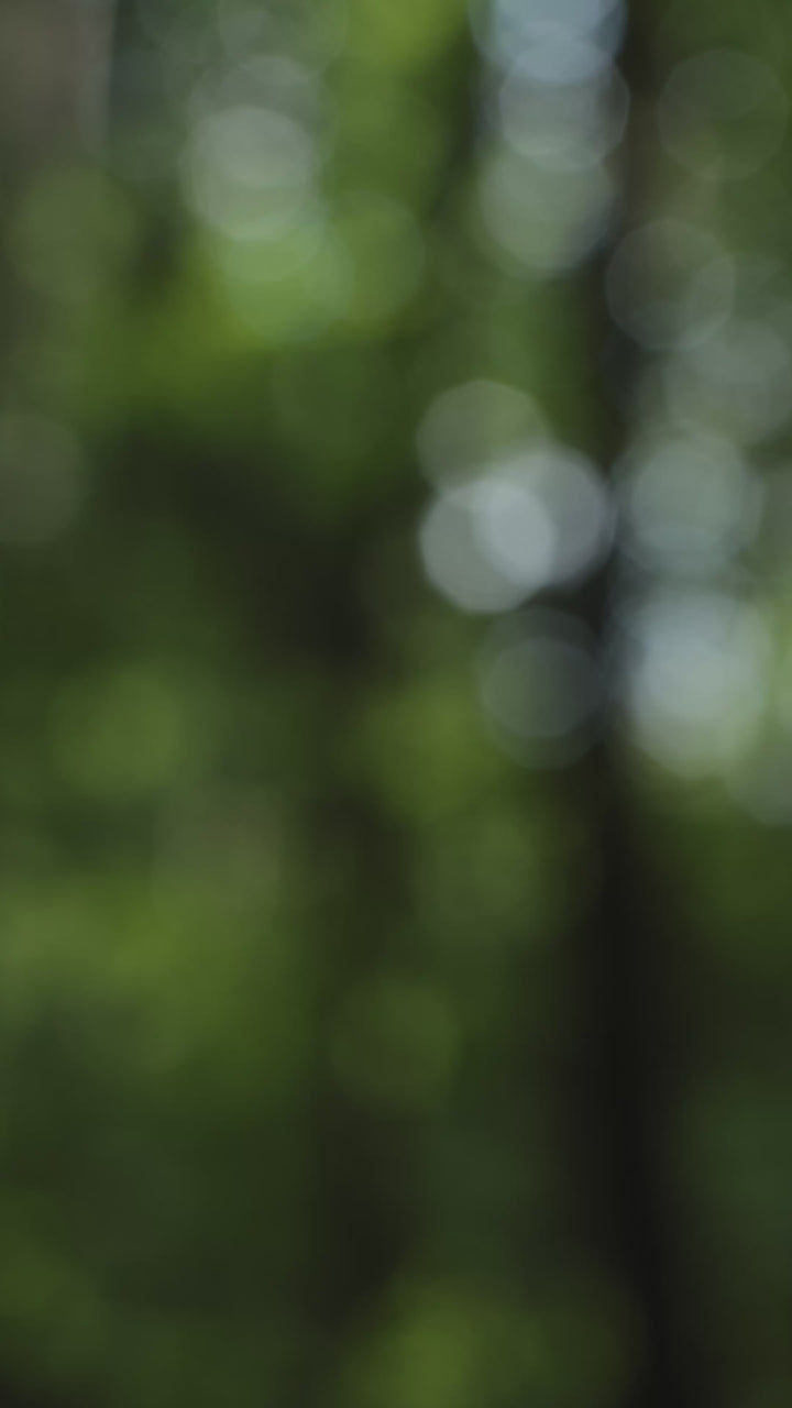 #bracelet_moon-grey-bor