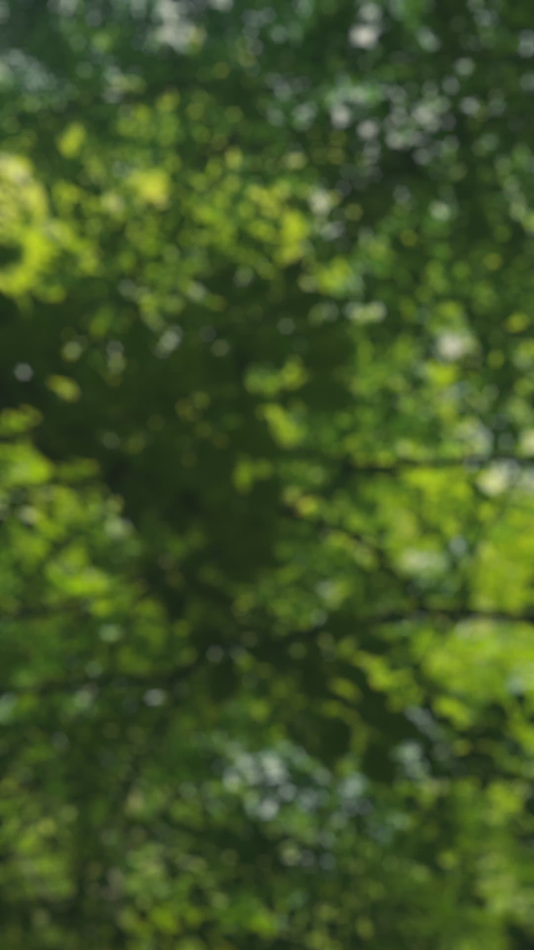 #bracelet_moon-grey-bor